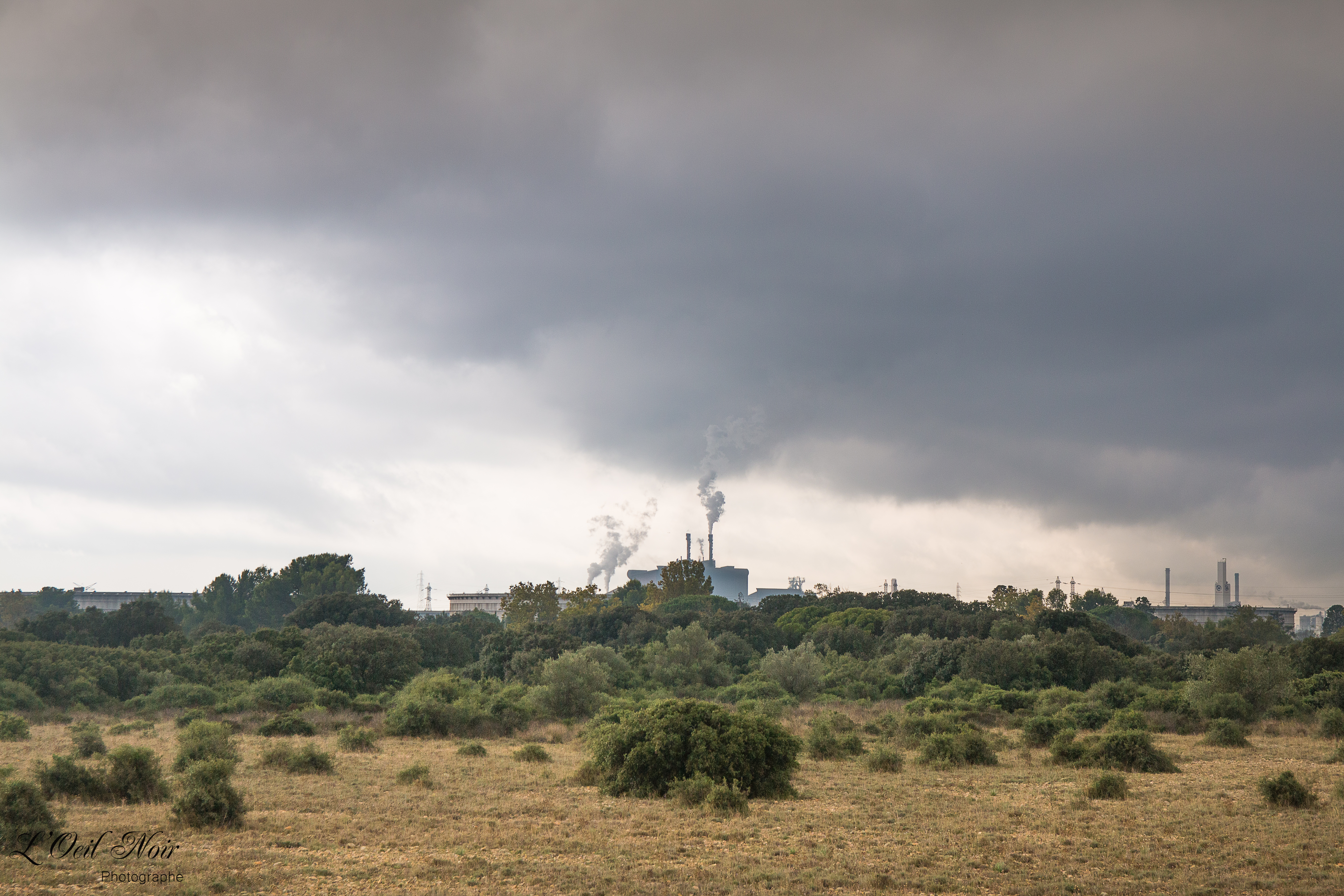 L' Oeil Noir Photographe